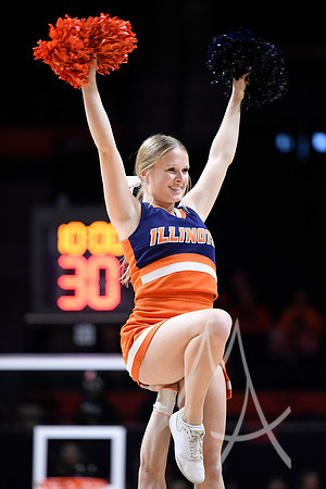 COLLEGE BASKETBALL: DEC 17 Women's - Missouri at Illinois