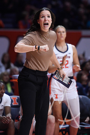 COLLEGE BASKETBALL: DEC 17 Women's - Missouri at Illinois