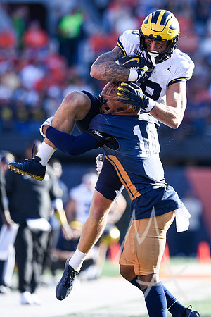 COLLEGE FOOTBALL: OCT 19 Michigan at Illinois