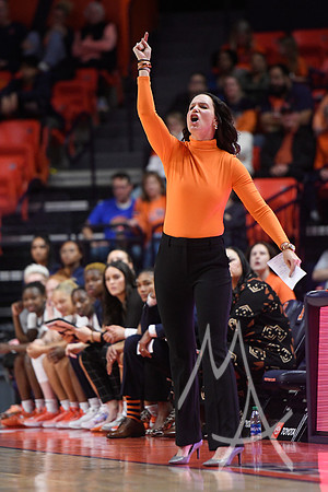 COLLEGE BASKETBALL: JAN 25 Women's - Ohio State at Illinois