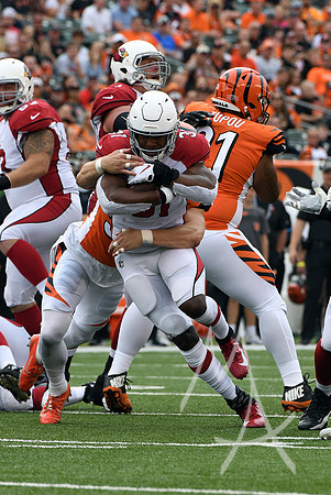 NFL: OCT 06 Cardinals at Bengals