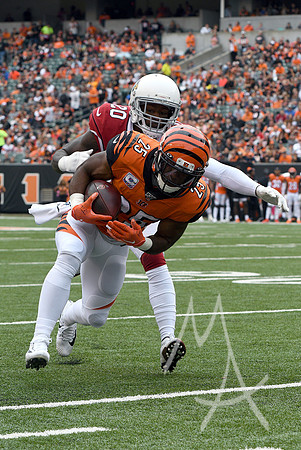 NFL: OCT 06 Cardinals at Bengals