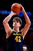 COLLEGE BASKETBALL: FEB 13 Michigan at Illinois