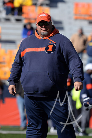 NCAA Football: Michigan at Illinois