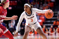 COLLEGE BASKETBALL: FEB 19 Women's - Indiana at Illinois