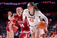 COLLEGE BASKETBALL: FEB 19 Women's - Indiana at Illinois