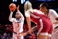 COLLEGE BASKETBALL: FEB 19 Women's - Indiana at Illinois