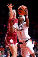 COLLEGE BASKETBALL: FEB 19 Women's - Indiana at Illinois