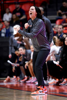 COLLEGE BASKETBALL: FEB 19 Women's - Indiana at Illinois