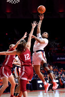 COLLEGE BASKETBALL: FEB 19 Women's - Indiana at Illinois