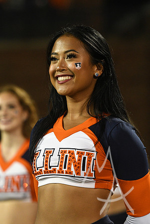 COLLEGE FOOTBALL: SEP 04 UTSA at Illinois