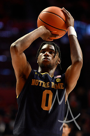 Notre Dame Illinois Basketball