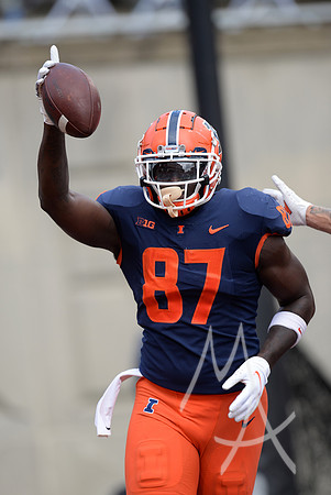 COLLEGE FOOTBALL: OCT 02 Charlotte at Illinois
