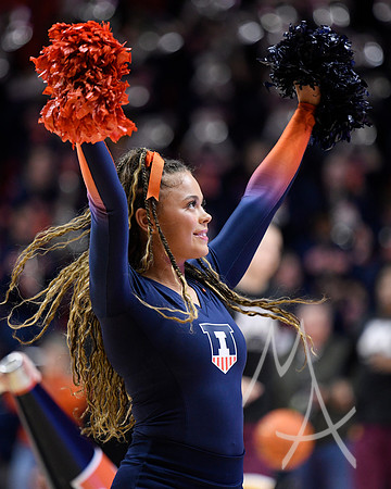 COLLEGE BASKETBALL: FEB 28 Minnesota at Illinois