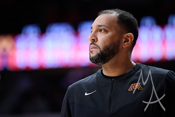 COLLEGE BASKETBALL: FEB 28 Minnesota at Illinois