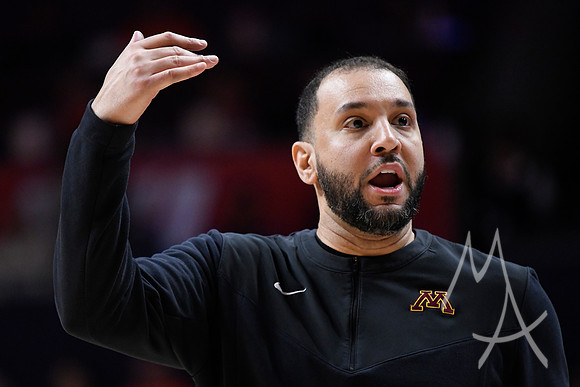COLLEGE BASKETBALL: FEB 28 Minnesota at Illinois