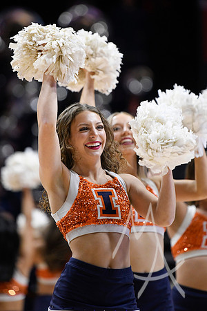 COLLEGE BASKETBALL: FEB 28 Minnesota at Illinois