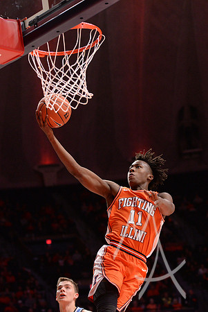 COLLEGE BASKETBALL: NOV 20 The Citadel at Illinois
