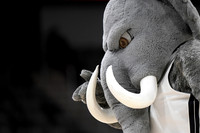 COLLEGE BASKETBALL: MAR 11 Horizon League WomenÕs Championship - Green Bay vs Purdue Fort Wayne
