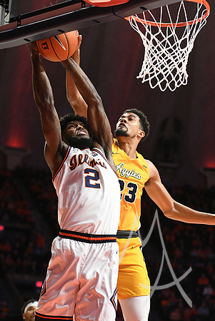 COLLEGE BASKETBALL: DEC 29 North Carolina A&T at Illinois