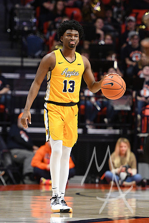 COLLEGE BASKETBALL: DEC 29 North Carolina A&T at Illinois