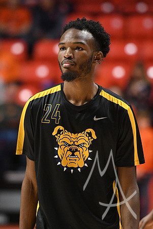 COLLEGE BASKETBALL: DEC 29 North Carolina A&T at Illinois