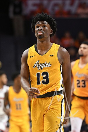 COLLEGE BASKETBALL: DEC 29 North Carolina A&T at Illinois