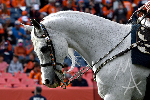 NFL: NOV 28 Chargers at Broncos