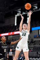 COLLEGE BASKETBALL: MAR 11 Horizon League WomenÕs Championship - Green Bay vs Purdue Fort Wayne
