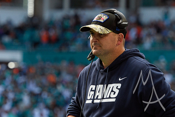 NFL: DEC 05 Giants at Dolphins