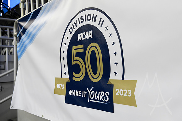 NCAA BASKETBALL: MAR 30 Div II Men's Championship - Minnesota State vs Nova Southeastern
