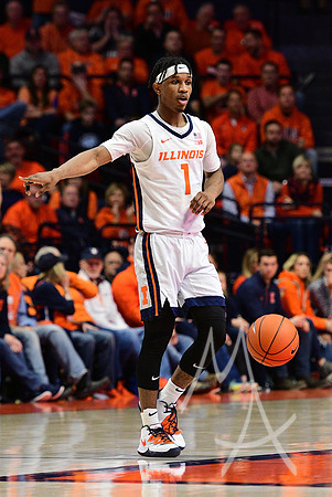 COLLEGE BASKETBALL: JAN 30 Minnesota at Illinois
