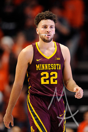 COLLEGE BASKETBALL: JAN 30 Minnesota at Illinois