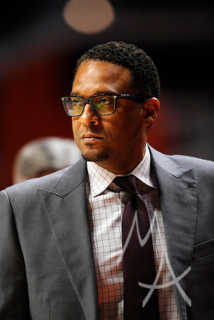 COLLEGE BASKETBALL: JAN 30 Minnesota at Illinois