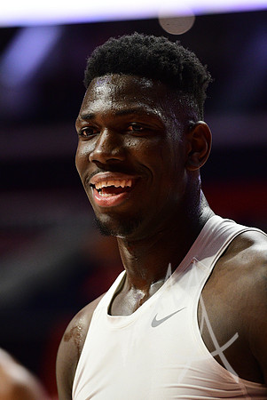 COLLEGE BASKETBALL: JAN 30 Minnesota at Illinois