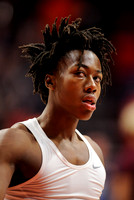 COLLEGE BASKETBALL: JAN 30 Minnesota at Illinois
