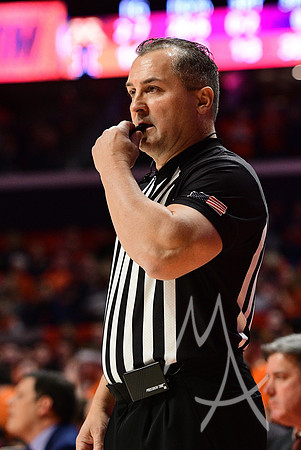 COLLEGE BASKETBALL: JAN 30 Minnesota at Illinois