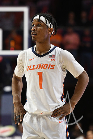 COLLEGE BASKETBALL: JAN 30 Minnesota at Illinois
