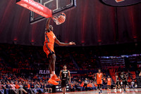 COLLEGE BASKETBALL: NOV 26 Lindenwood at Illinois
