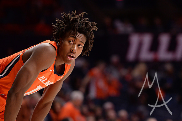COLLEGE BASKETBALL: NOV 26 Lindenwood at Illinois