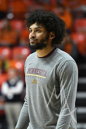 COLLEGE BASKETBALL: JAN 16 Minnesota at Illinois