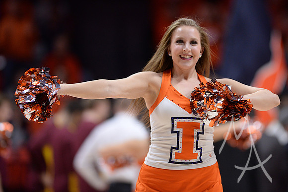 COLLEGE BASKETBALL: JAN 16 Minnesota at Illinois