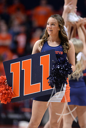 COLLEGE BASKETBALL: JAN 16 Minnesota at Illinois