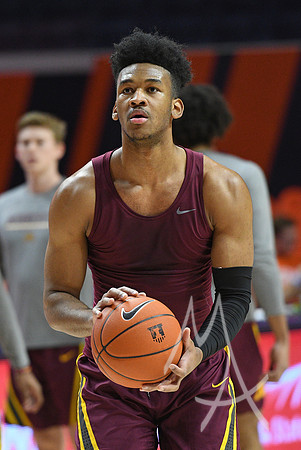 COLLEGE BASKETBALL: JAN 16 Minnesota at Illinois