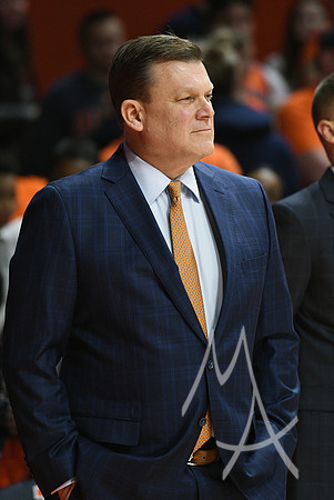 COLLEGE BASKETBALL: JAN 16 Minnesota at Illinois