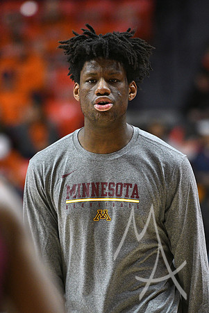 COLLEGE BASKETBALL: JAN 16 Minnesota at Illinois