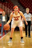 COLLEGE BASKETBALL: DEC 31 Women's - Bradley at Illinois State