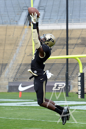 NCAA FOOTBALL: APR 18 Purdue Spring Game