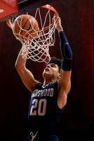 COLLEGE BASKETBALL: DEC 13 Longwood at Illinois