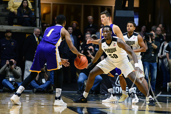 NCAA BASKETBALL: DEC 19 Western Illinois at Purdue